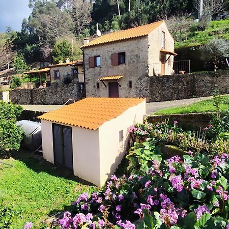 Willa Quinta Da Costeira Sever do Vouga Zewnętrze zdjęcie