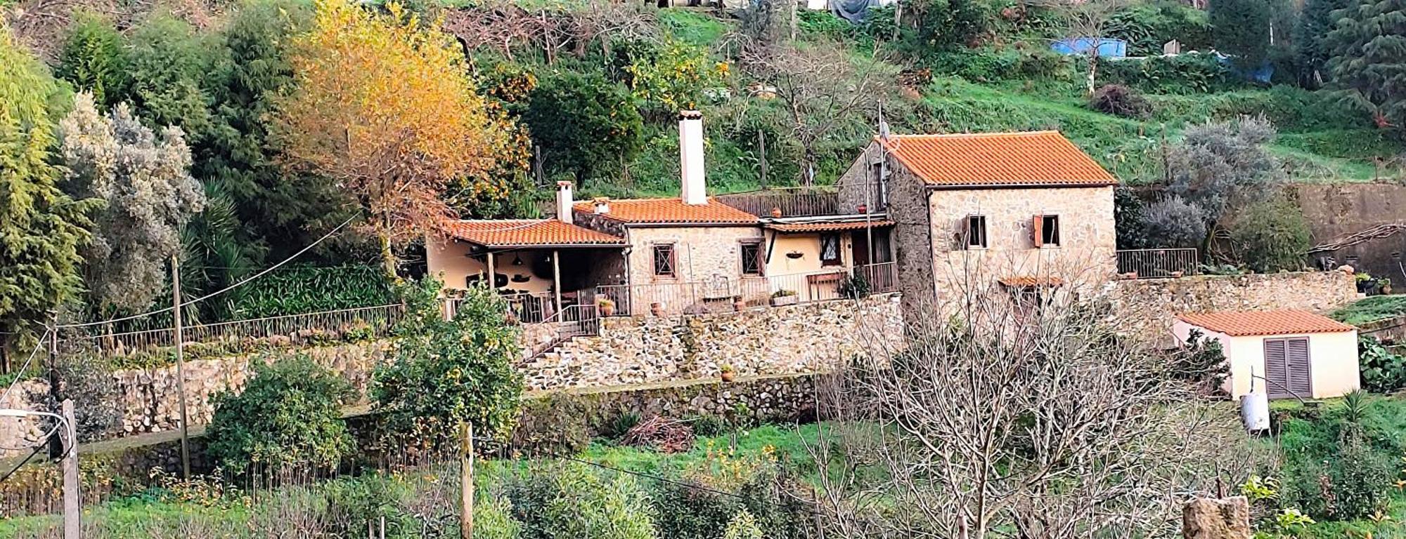 Willa Quinta Da Costeira Sever do Vouga Zewnętrze zdjęcie