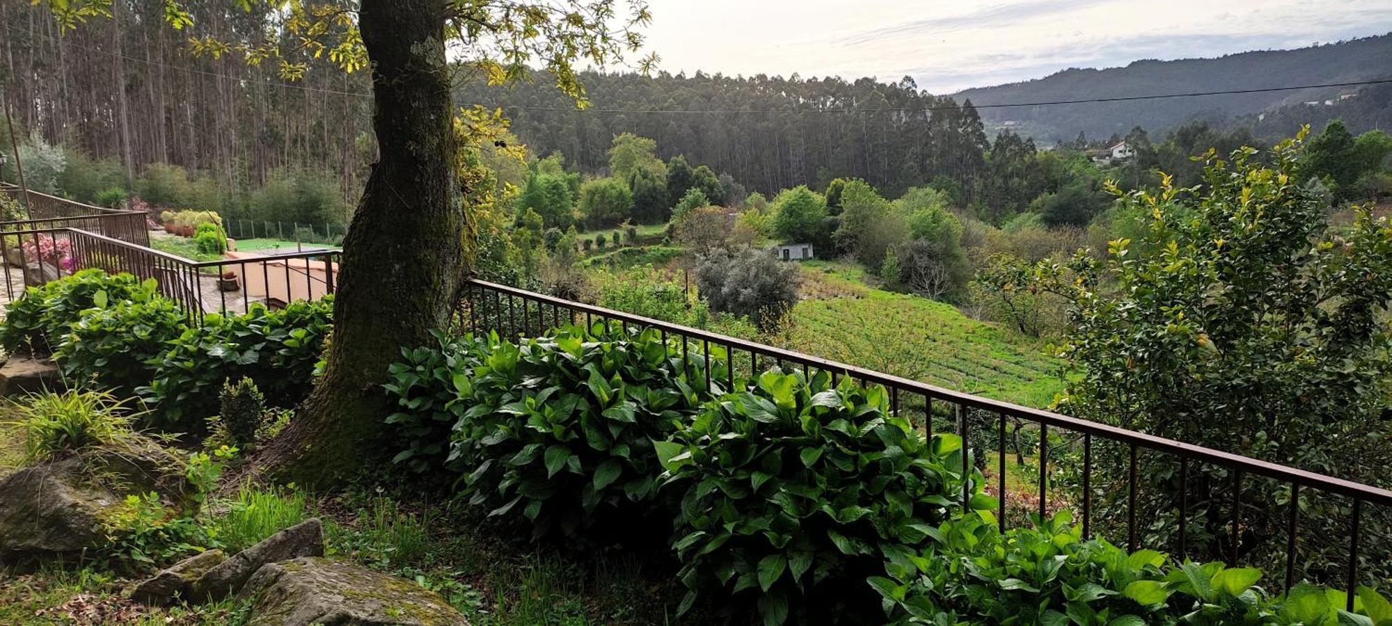 Willa Quinta Da Costeira Sever do Vouga Zewnętrze zdjęcie