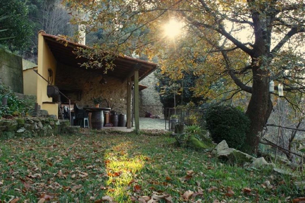 Willa Quinta Da Costeira Sever do Vouga Zewnętrze zdjęcie