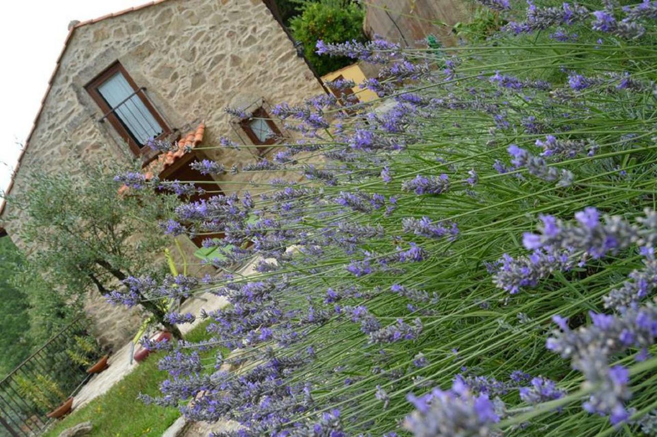 Willa Quinta Da Costeira Sever do Vouga Zewnętrze zdjęcie