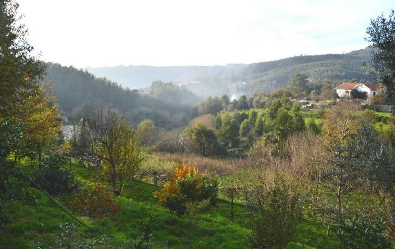 Willa Quinta Da Costeira Sever do Vouga Zewnętrze zdjęcie
