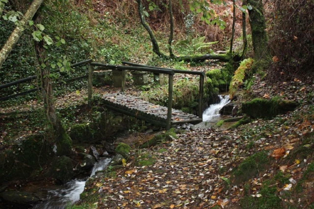 Willa Quinta Da Costeira Sever do Vouga Zewnętrze zdjęcie