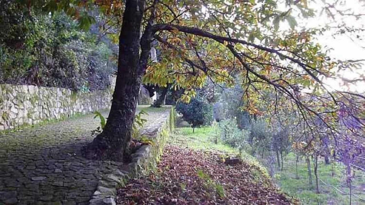 Willa Quinta Da Costeira Sever do Vouga Zewnętrze zdjęcie