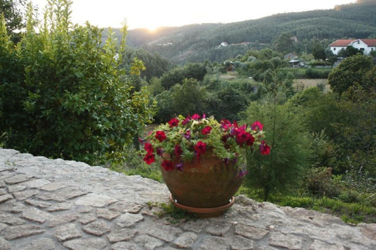 Willa Quinta Da Costeira Sever do Vouga Zewnętrze zdjęcie