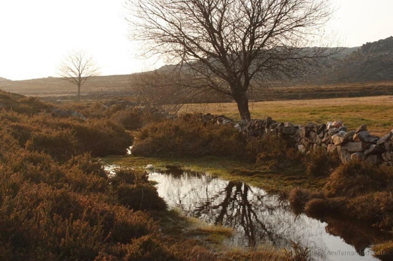 Willa Quinta Da Costeira Sever do Vouga Zewnętrze zdjęcie